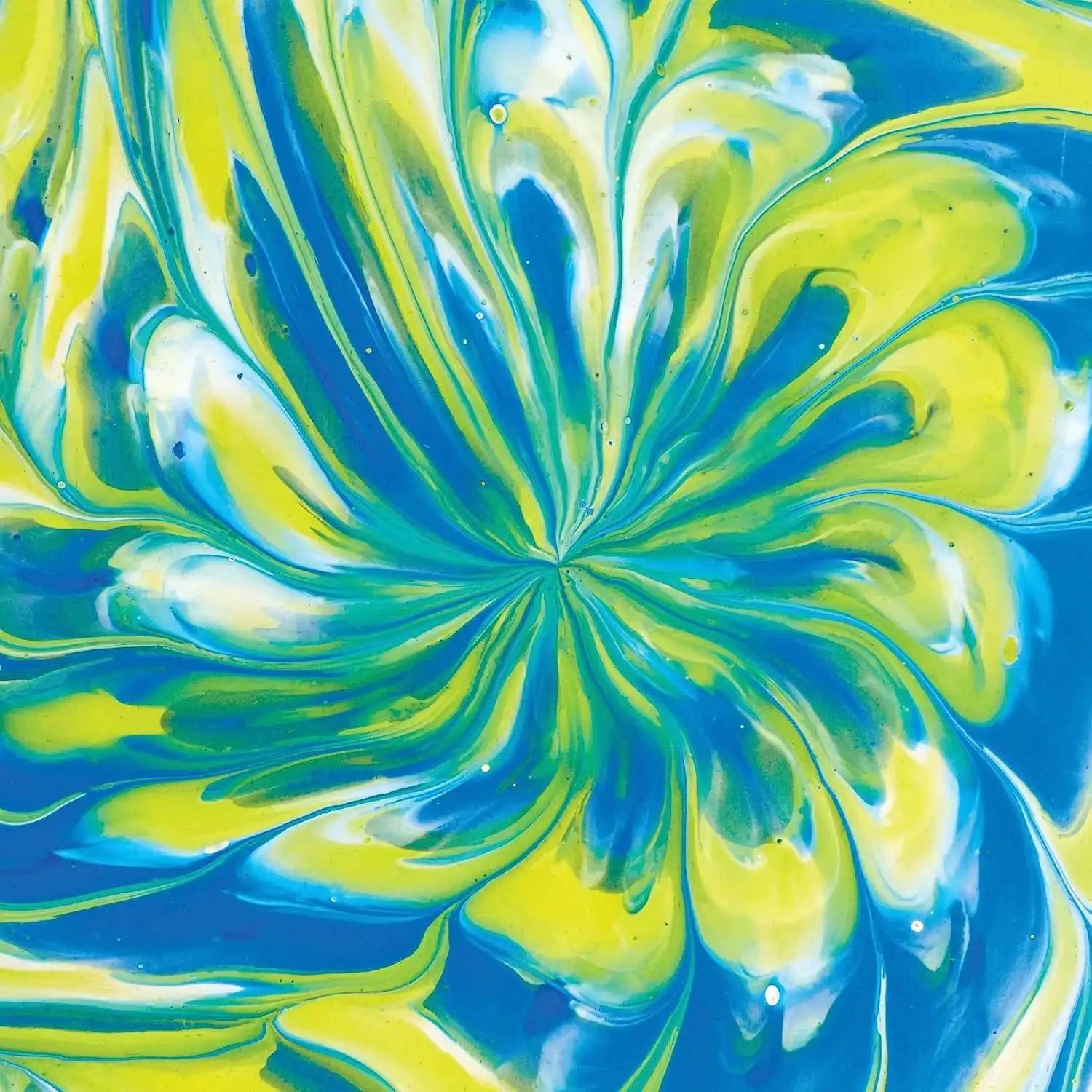 crayolamalls.com